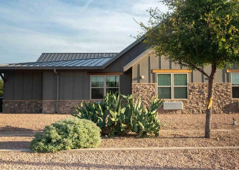 Modern house with metal roof, stone and wood siding, desert landscaping, cactus, and a tree in front yard.